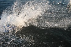 Lyovaka .2 srpen 2008 